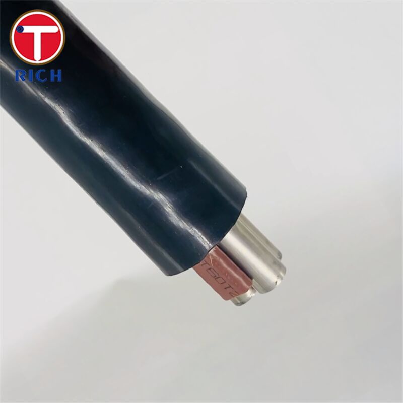 Tubes sans soudure en acier inoxydable à plusieurs noyaux avec revêtement en plastique pour la construction navale de catégories 304L/316L/Duplex 2205 et de techniques de traction à froid/de laminage à chaud