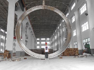 Un bon prix. Acier inoxydable OD 3000mm de la pièce forgéee 304 d'OIN Torich en ligne